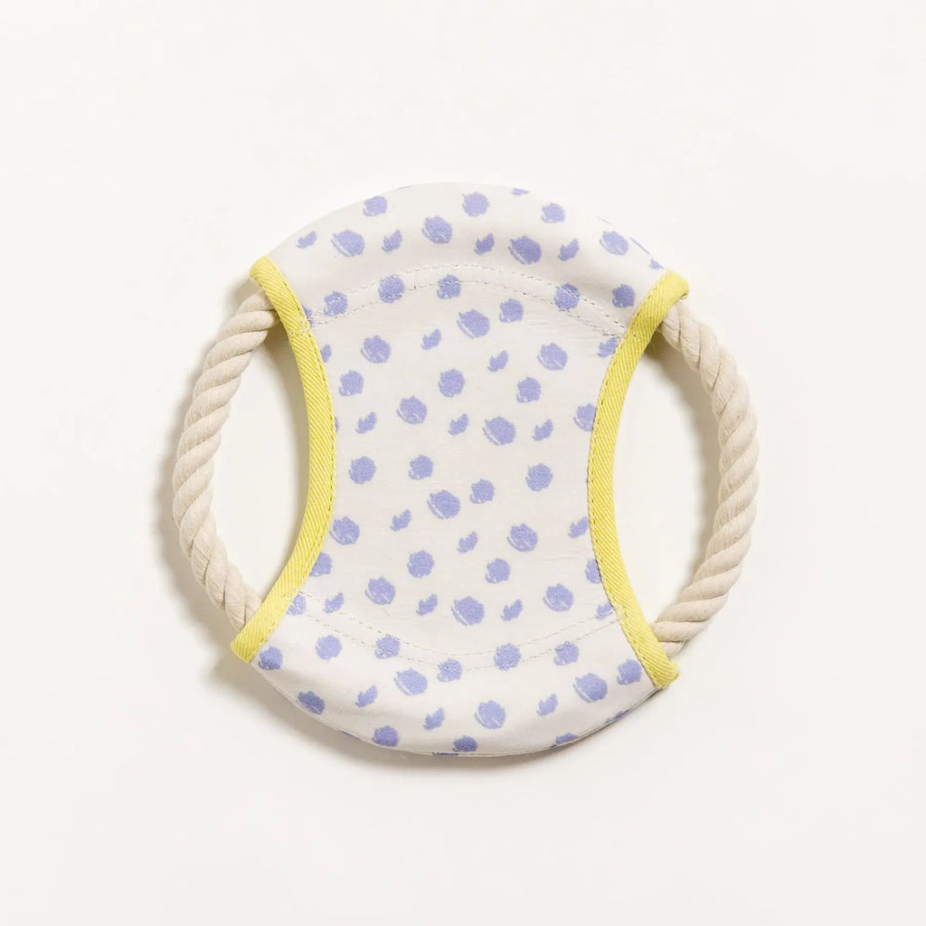 Dizzy Disc Canvas Frisbee